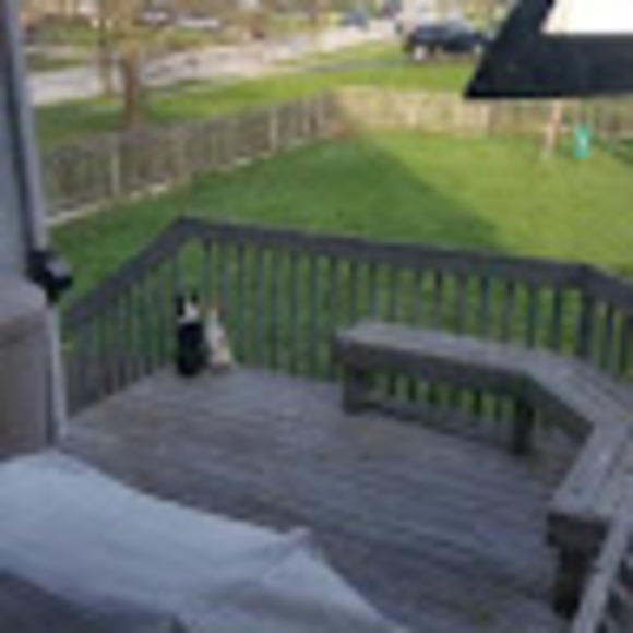 Meet your Posher, Audrey - Picture 1 of 1